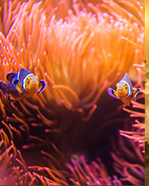 top_rated_experiences top_rated_experiences